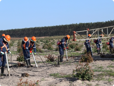 Programme Information - Day 2 Package